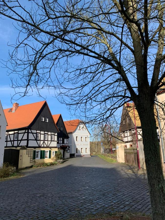 Studio Auf Denkmalgeschuetztem Dreiseithof In Hoefgen Bei Grimma Hofgen  Bagian luar foto